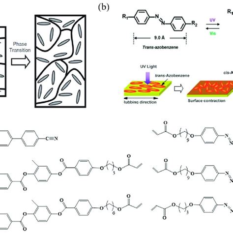  Liquid Crystal Polymer: Materiale rivoluzionario per applicazioni di alta precisione e resistenza alle alte temperature!